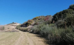 For sale, land, Paphos, Goudi, 5,352m&sup2;, &euro;21,000 