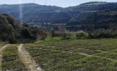 For sale, land, Paphos, Goudi, 5,352m&sup2;, &euro;21,000 
