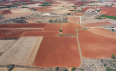 For sale, land, Famagusta, Avgorou, 45,950m&sup2;, &euro;77,000 