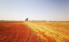 For sale, land, Famagusta, Avgorou, 45,950m&sup2;, &euro;77,000 