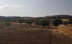 For sale, land, Nicosia, Analiontas, 5,762m&sup2;, &euro;144,000 , Nicosia