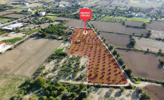For sale, land, field, Nicosia, Pera, 8,910m&sup2;, &euro;285,000 , Nicosia