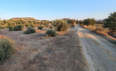 For sale, land, field, Nicosia, Pera, 8,910m&sup2;, &euro;285,000 , Nicosia
