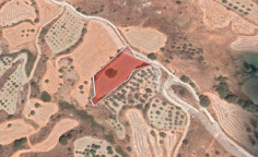 For sale, land, Paphos, Fyti, 3,679m&sup2;, &euro;11,000 