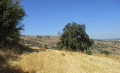 For sale, land, Paphos, Fyti, 3,679m&sup2;, &euro;11,000 