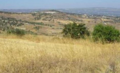 For sale, land, Paphos, Fyti, 3,679m&sup2;, &euro;11,000 
