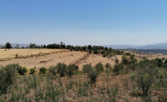 For sale, land, Paphos, Fyti, 4,348m&sup2;, &euro;18,000 