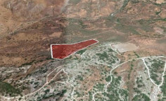 For sale, land, field, Paphos, pentalia, 19,733m&sup2;, &euro;20,000 