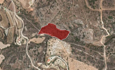For sale, land, field, Paphos, steni, 13,870m&sup2;, &euro;42,000 