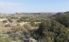 For sale, land, field, Limassol, Pissouri, 5,017m&sup2;, &euro;191,000 , Limassol