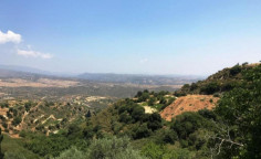 For sale, land, field, Limassol, Pachna, 16,389m&sup2;, &euro;10,000 