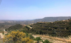 For sale, land, field, Limassol, Pachna, 16,389m&sup2;, &euro;10,000 