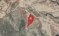 For sale, land, field, Limassol, Pachna, 16,389m&sup2;, &euro;10,000 