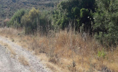 For sale, land, field, Limassol, Pissouri, 6,688m&sup2;, &euro;35,000 