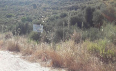 For sale, land, field, Limassol, Pissouri, 6,688m&sup2;, &euro;35,000 