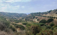 For sale, land, Limassol, Pissouri, 13,379m&sup2;, &euro;86,000 