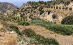 For sale, land, Limassol, Pissouri, 13,379m&sup2;, &euro;86,000 