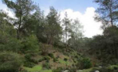 For sale, land, Nicosia, Kampia, 4,014m&sup2;, &euro;4,000 