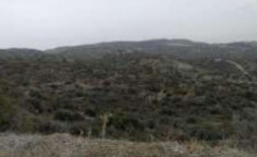 For sale, land, field, Larnaca, lageia, 25,419m&sup2;, &euro;4,000 