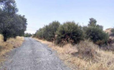 For sale, land, field, Nicosia, katydata, 23,409m&sup2;, &euro;86,000 