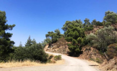 For sale, land, field, Limassol, Kapileio, 40,469m&sup2;, &euro;61,000 