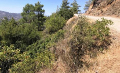 For sale, land, field, Limassol, Kapileio, 40,469m&sup2;, &euro;61,000 