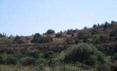 For sale, land, field, Larnaca, Alaminos, 6,021m&sup2;, &euro;160,000 , Larnaca