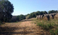 For sale, land, field, Paphos, Polemi, 10,703m², €320,000 , Paphos For sale, land, field, Paphos, Polemi, 10,703m², €320,000 , Paphos