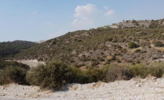 For sale, land, Larnaca, Alethriko, 10,703m&sup2;, &euro;32,000 