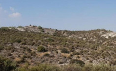 For sale, land, Larnaca, Alethriko, 10,703m&sup2;, &euro;32,000 