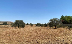 For sale, land, field, Nicosia, Tseri, 6,262m&sup2;, &euro;73,000 , Nicosia
