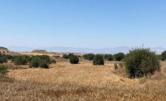 For sale, land, field, Nicosia, Tseri, 6,262m&sup2;, &euro;73,000 , Nicosia