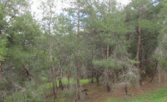 For sale, land, Nicosia, pigenia, 15,771m&sup2;, &euro;35,000 