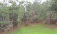 For sale, land, Nicosia, pigenia, 15,771m&sup2;, &euro;35,000 