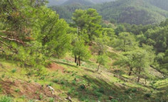 For sale, land, Nicosia, pigenia, 15,771m&sup2;, &euro;35,000 