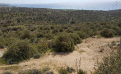 For sale, land, field, Limassol, Pissouri, 80,269m&sup2;, &euro;1,300,000 , Limassol