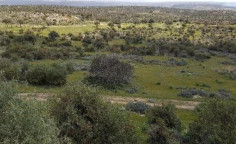 For sale, land, field, Limassol, Pissouri, 80,269m&sup2;, &euro;1,300,000 , Limassol