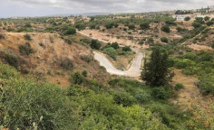 For sale, land, field, Paphos, Tala, 7,640m&sup2;, &euro;69,000 
