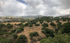 For sale, land, field, Paphos, Tala, 7,640m&sup2;, &euro;69,000 