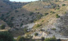 For sale, land, field, Paphos, Nata, 14,047m&sup2;, &euro;15,000 