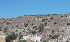 For sale, land, field, Paphos, Nata, 14,047m&sup2;, &euro;15,000 