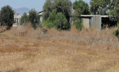 For sale, land, field, Nicosia, Kokkinotrimithia, 2,253m&sup2;, &euro;115,000 , Nicosia
