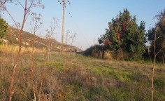 For sale, land, Limassol, Asgata, 13,268m&sup2;, &euro;170,000 , Limassol