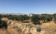 For sale, land, Nicosia, Geri, 1,766m&sup2;, &euro;120,000 , Nicosia