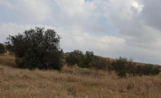 For sale, land, Nicosia, Geri, 1,886m&sup2;, &euro;128,000 , Nicosia