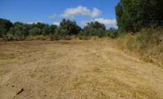 For sale, land, field, Paphos, Polemi, 2,007m², €84,000 , Paphos For sale, land, field, Paphos, Polemi, 2,007m², €84,000 , Paphos
