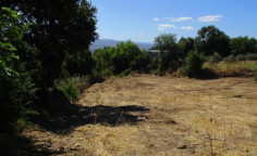 For sale, land, field, Paphos, Polemi, 2,007m&sup2;, &euro;84,000 , Paphos