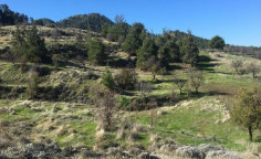 For sale, land, field, Nicosia, Nikitari, 46,638m&sup2;, &euro;120,000 , Nicosia