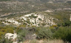 For sale, land, field, Limassol, Sotira, 32,108m&sup2;, &euro;35,000 