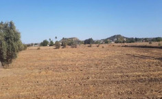 For sale, land, Nicosia, Episkopeio, 3,679m&sup2;, &euro;88,000 , Nicosia